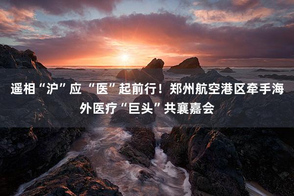 遥相“沪”应 “医”起前行！郑州航空港区牵手海外医疗“巨头”共襄嘉会