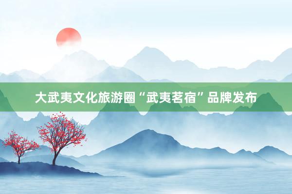 大武夷文化旅游圈“武夷茗宿”品牌发布