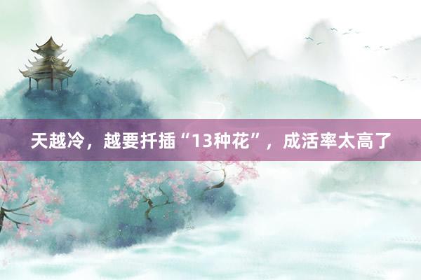 天越冷，越要扦插“13种花”，成活率太高了