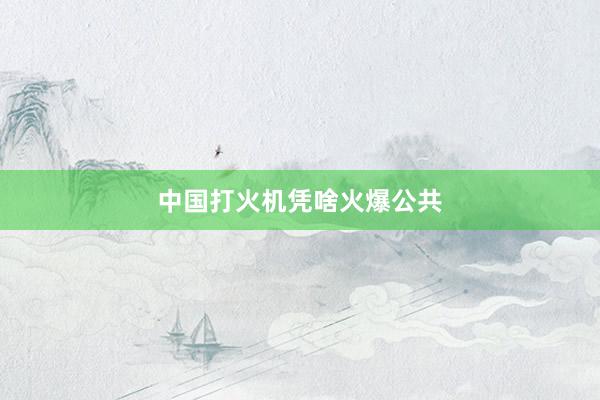 中国打火机凭啥火爆公共