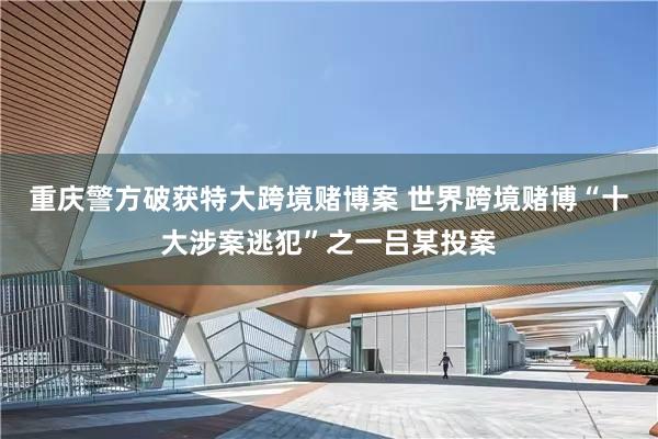 重庆警方破获特大跨境赌博案 世界跨境赌博“十大涉案逃犯”之一吕某投案