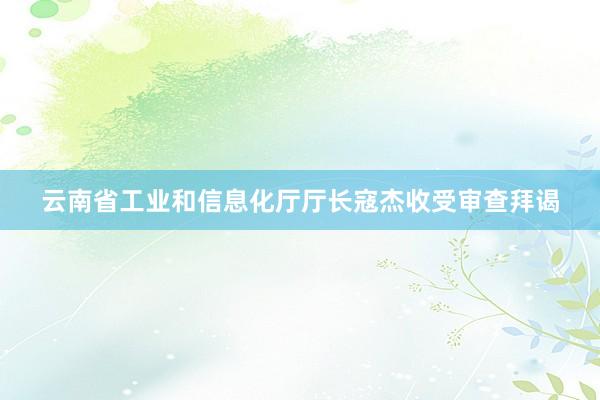 云南省工业和信息化厅厅长寇杰收受审查拜谒