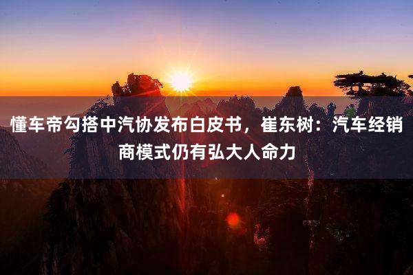 懂车帝勾搭中汽协发布白皮书，崔东树：汽车经销商模式仍有弘大人命力